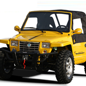 XY800 GOKART